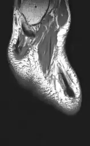 Item #11780915356901891937150191052604117223978980698243640119023280870675913375745 Media