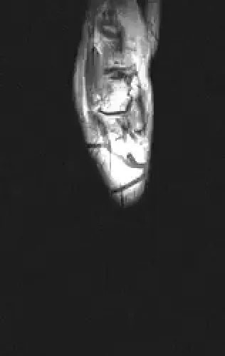 2016_05_27_t1_tse_cor #selfie_v2