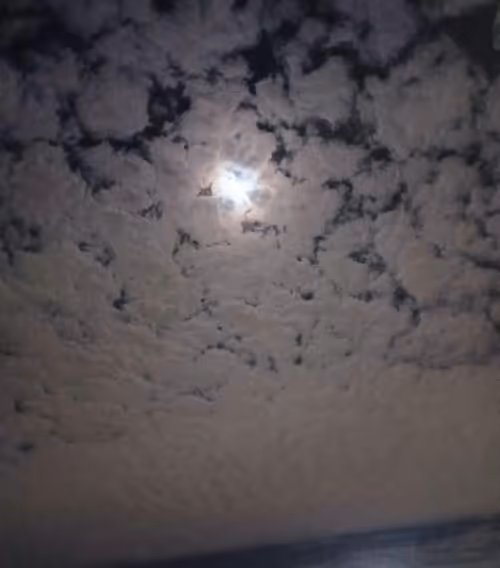 Item #69714885891348087524391430960620113850320228009053975908788911343847755218945 Media