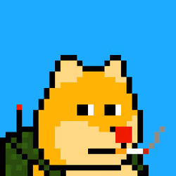 Dooggie #815
