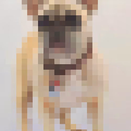 25155259843049381355195598730984366378773280046750296235107927796208176726017