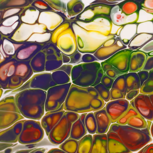 Item #55215379482972381042830546739742819784128288916042800513381540472751325708289 Media