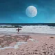 8663748268496287599746981336253994004225824015164583316674615624920381521921