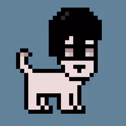 82438041996563505143036997094412011248335074238389028136232905107992165220353