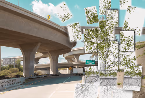 cooperpix Collection