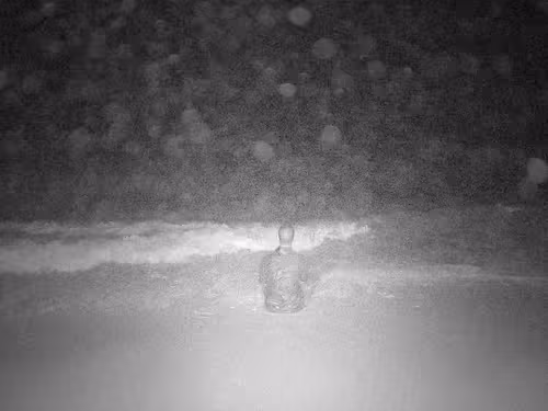 Item #90073714004006768940512146995321441208821818491664654500513793349243239399425 Media