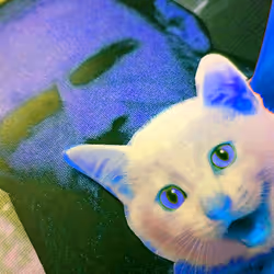 4747115153065902387790593868107453782499677024781155622119190051074567307265