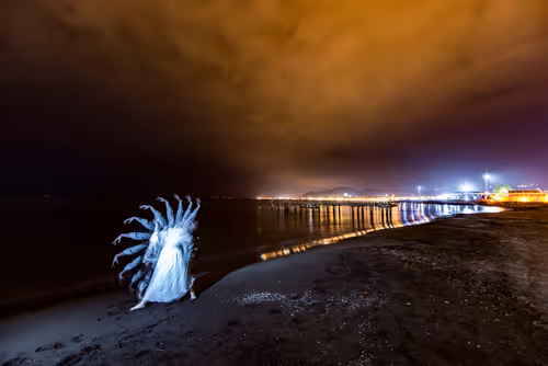 Item #103012301657456598627464593711191492996341926608798375780323323069138502418433 Media