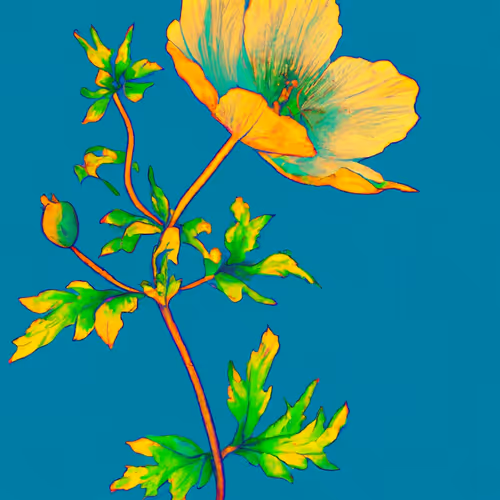 Botanica 2023