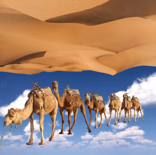 Item #495481811379815144822817045191940406025038668845752407780709897119769559041 Media