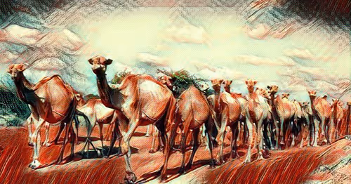 Item #72479605354561341502374921151267599278029520692900921041523845178007652139009 Media