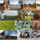 Nam_Seleman Collection
