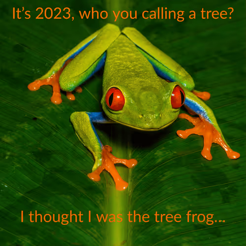 I'm the Tree Frog