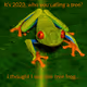 I'm the Tree Frog