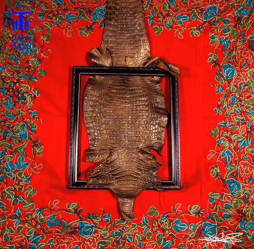 Item #65718052376404825530132698476454308049276015836189851915939897236233801170945 Media