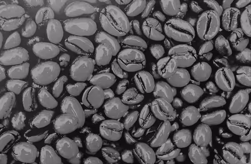 Item #39425846421802280996231740338929997167545085552399292352466571963689414426625 Media