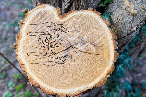 Item #2817161510999534700800592897314862672175130421274232098577731443010903736321 Media