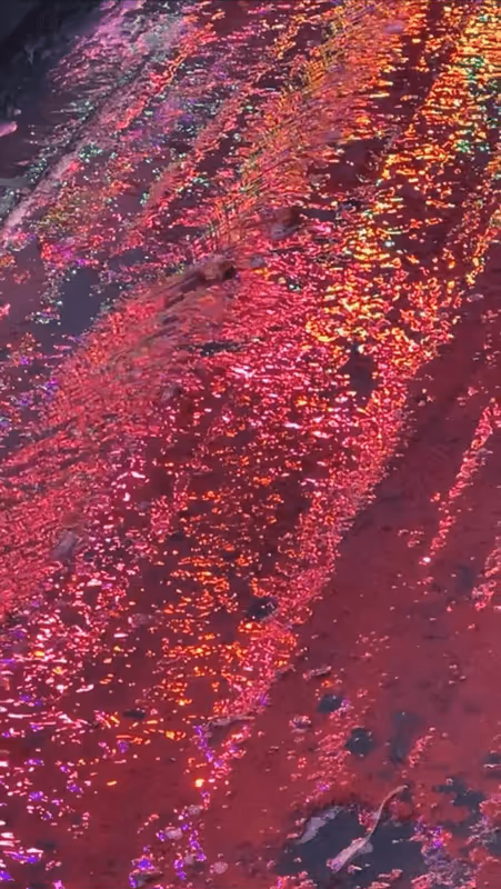 Item #62402000334580523921237358418718502457721815832787791947048085089187922968577 Media