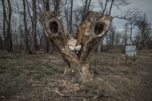 Item #4375115208171662398757709417791216617025009038077306019347163301944542363649 Media