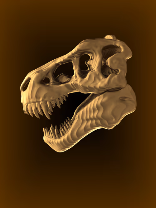 Item #18478699527767525353781602053590804202608849171634871284182521555316025327617 Media