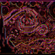 28480061449616952339999001829582514056965285005595834933663473402265330515969