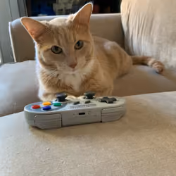 Gamer Cheeto
