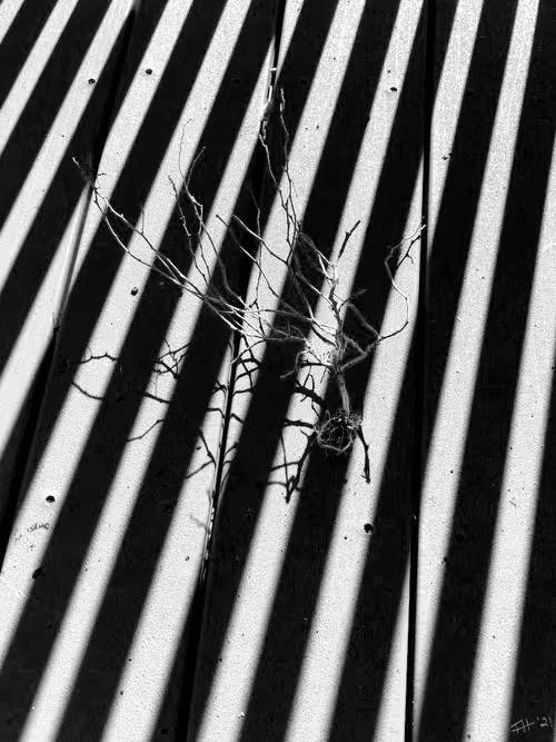 Item #12490425275875880839465075305844462947197774904789081002901208249714859835397 Media