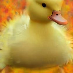 "Baby Daisy"