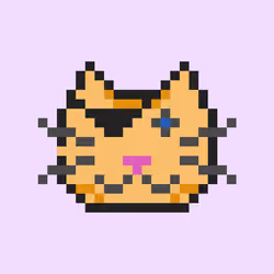 Pirate JuanCat