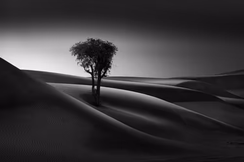 Item #108814857691029429230781820568210235490063919231059486623727012649778158764033 Media