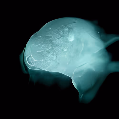 23257988316308240444286104197416324799649502812477909795597000847312556130305