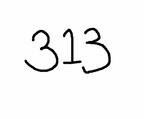 313