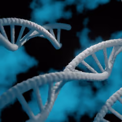 MY DNA