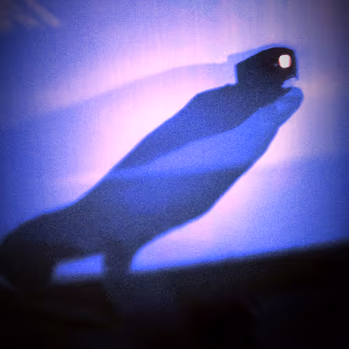 ShadowShapes Collection
