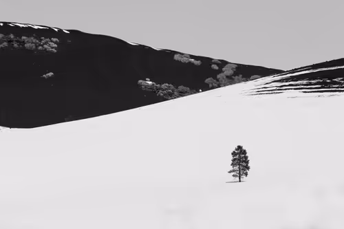 Item #113073294817579222580600721879090830298878853818370709040199093648245976465409 Media