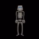 101515730615005703755250400389108867659622298967858874166137177300957627678730