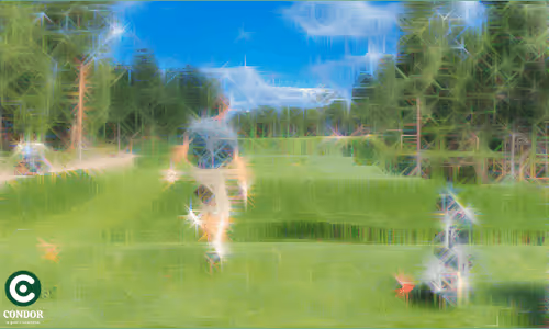 Condor: A Golf Collective