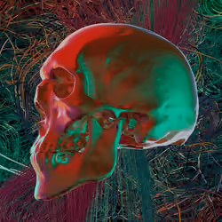 Crypto 3D Skull #4
