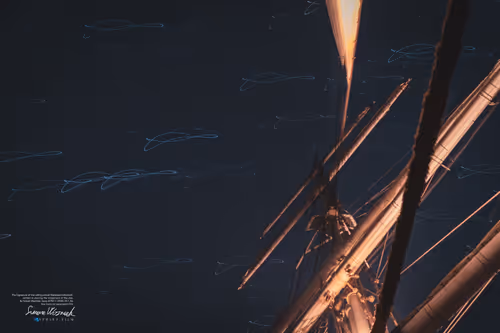 Item #34110083671509346653453586160941404072216291014688644284046702072323326869505 Media