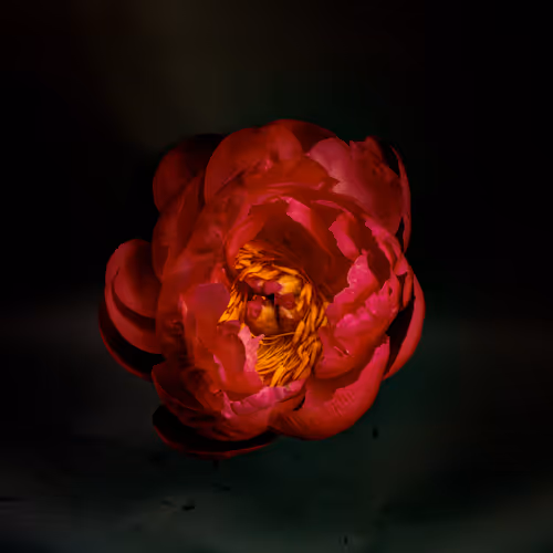 Item #78290859564487950582035157187154512379100989933844946097788898151467713560577 Media