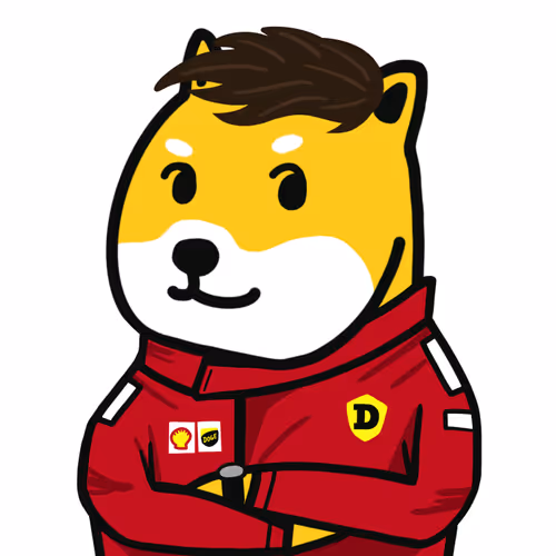 Car Racer Doge