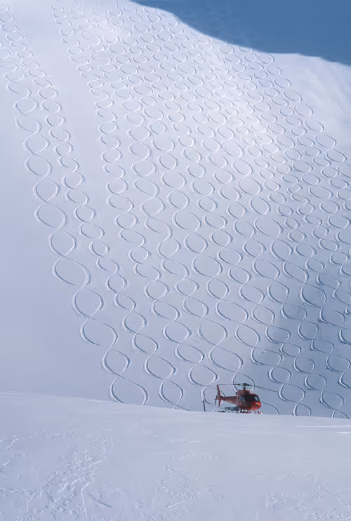 Item #40259216463408254052769072741446962859476746949004167296355483927342189903882 Media