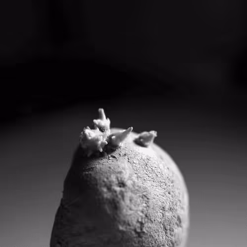 Item #106002847208740868609833758564864100377070191956822007780539652006748474048513 Media