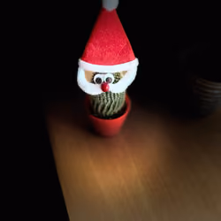 santa cactus 2