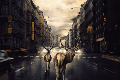 Item #106458335248206439208009711256162525966669270428378996630819471356072118190081 Media