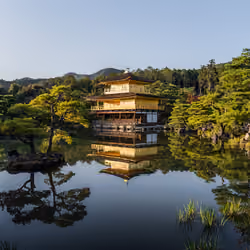 Golden Temple 2/8