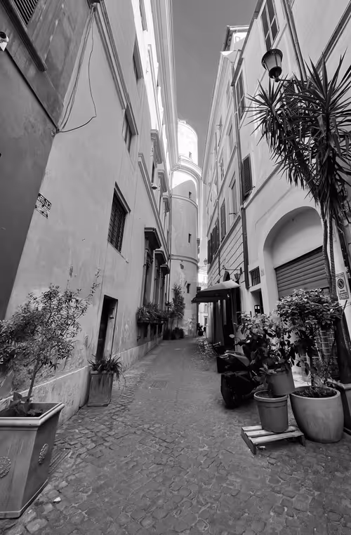 Item #106962716921335990762713992472161684452961633480742312471954214555739626668033 Media