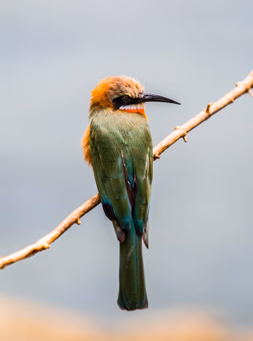 Item #95979719435638396747386199908027492606241793835179361379046606507107967565825 Media