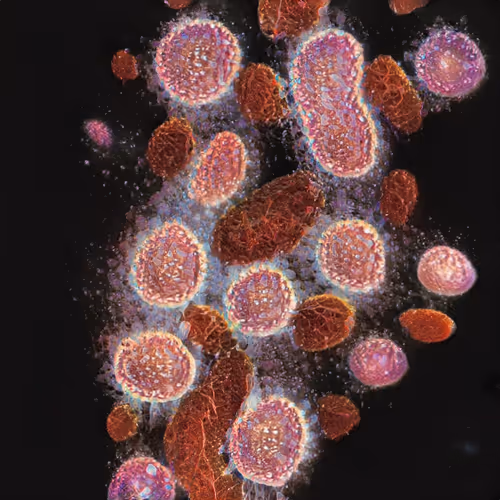 Item #81423580408588551200801073682850784470757564812203159627046903043029045608449 Media