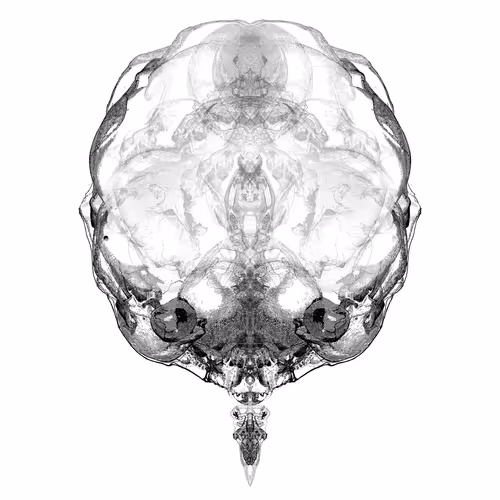 Item #85859191866638808365331437874953228966785819470149775310971062281851505737729 Media